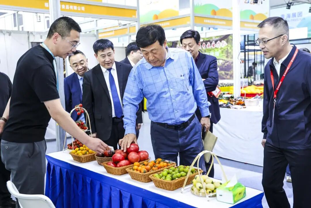 品牌農(nóng)業(yè)洞察！赤峰番茄：富民產(chǎn)業(yè)“新樣式”